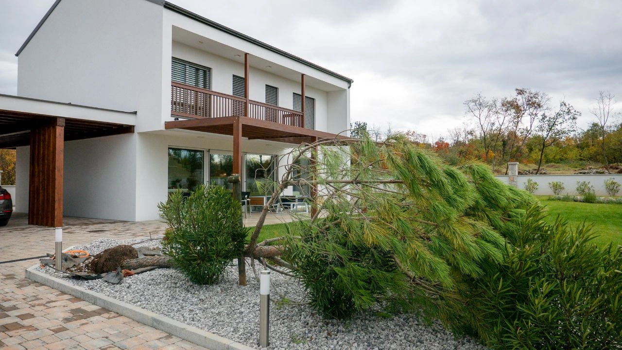 Quels sont les risques en cas de cyclone pour une pergola à La Réunion ?