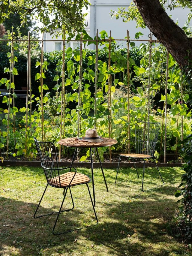 7 TABLE CIRCUM BAMBOU