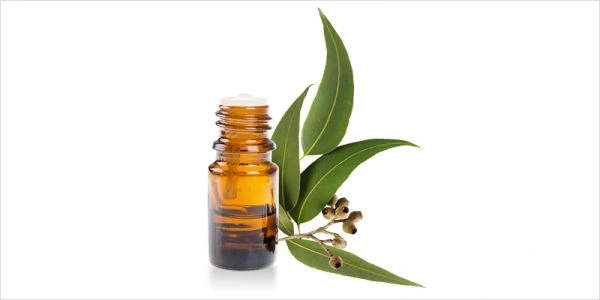 Huile essentielle anti-moustique - Atelier du Store