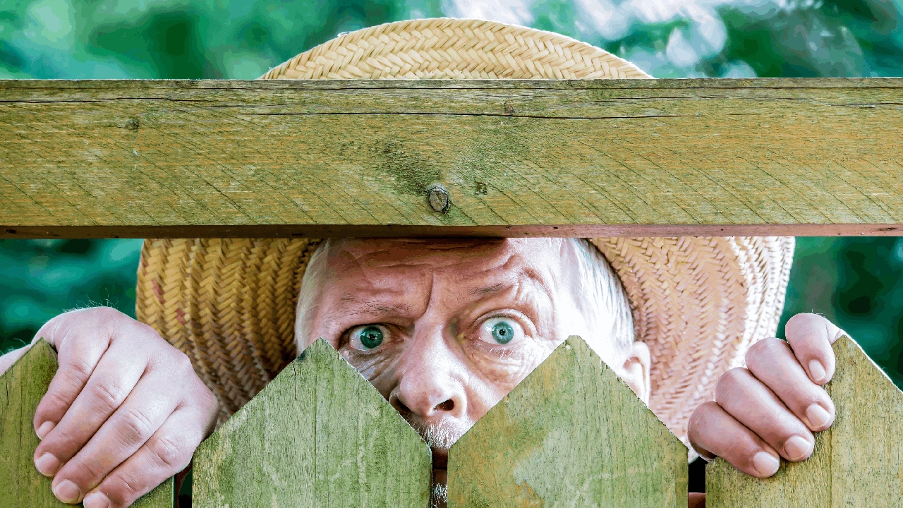 5 astuces pour cacher un vis-à-vis sur une terrasse